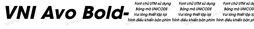 VNI Avo Bold字体转换